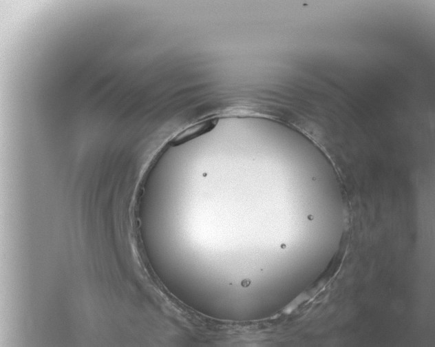 X0000059040289200510211941