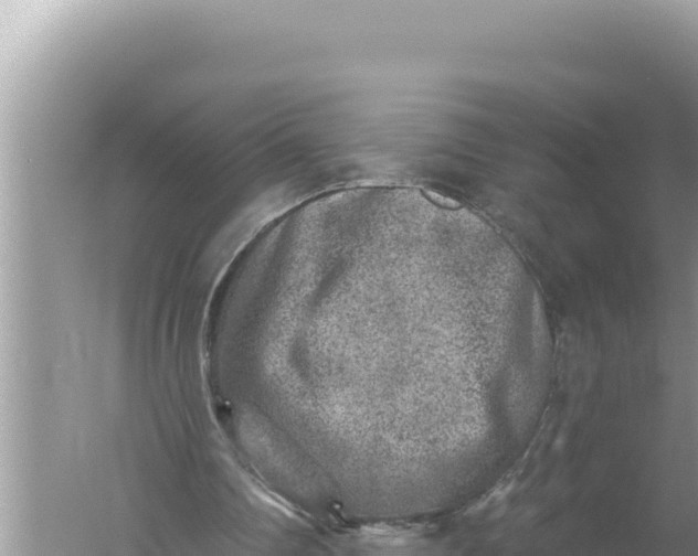 X0000059040290200510211941