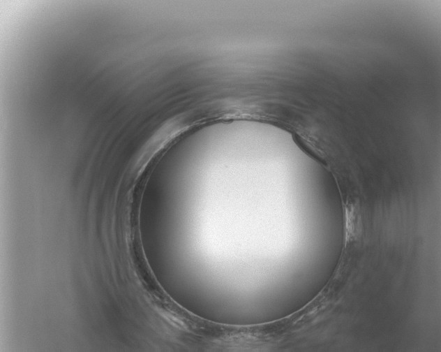 X0000059040291200510211941