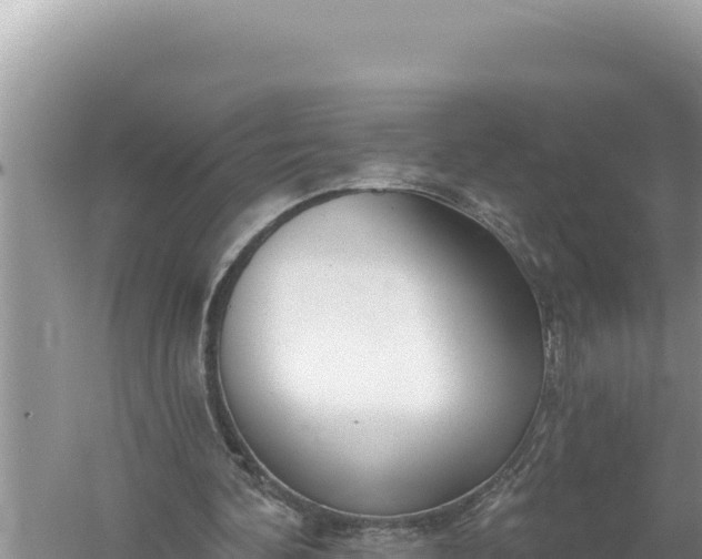 X0000059040292200510211941