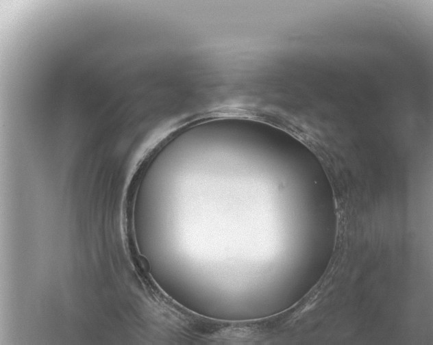 X0000059040294200510211941