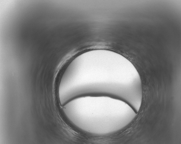 X0000059040296200510211941