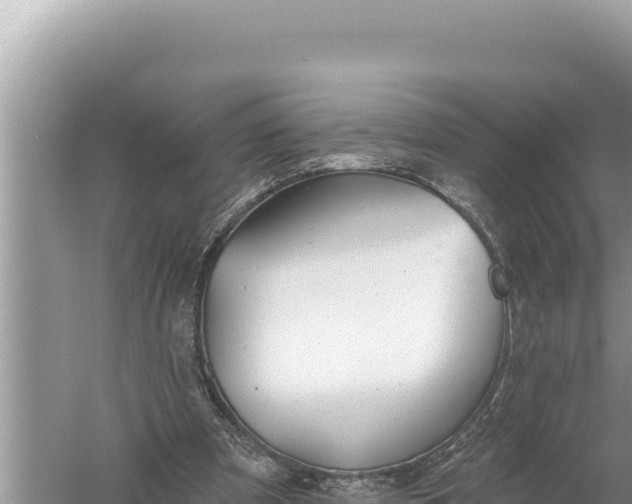 X0000059040297200510211941