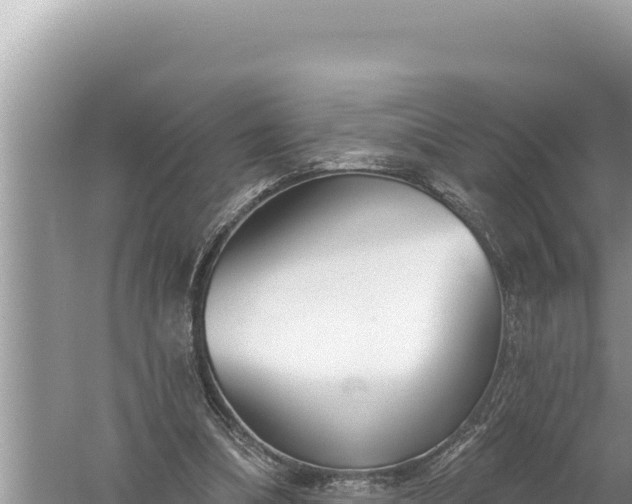 X0000059040298200510211941