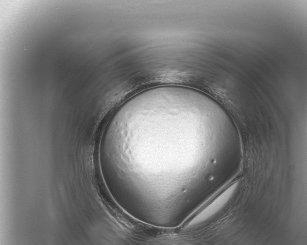 X0000059040299200510211941