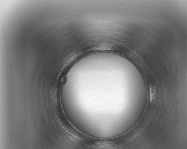 X0000059040300200510211941