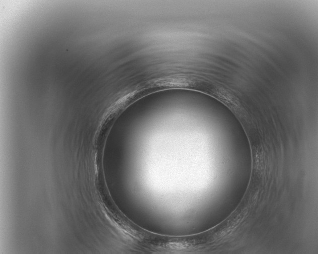 X0000059040302200510211941