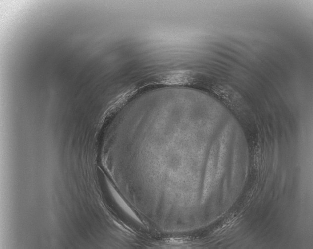 X0000059040303200510211941