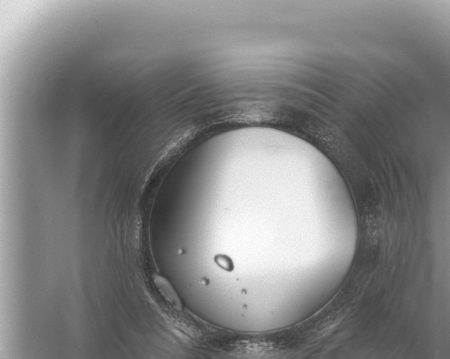 X0000059040304200510211941