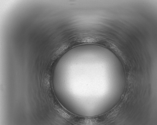 X0000059040305200510211941