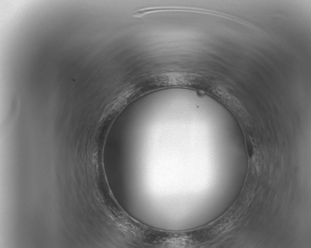 X0000059040306200510211941