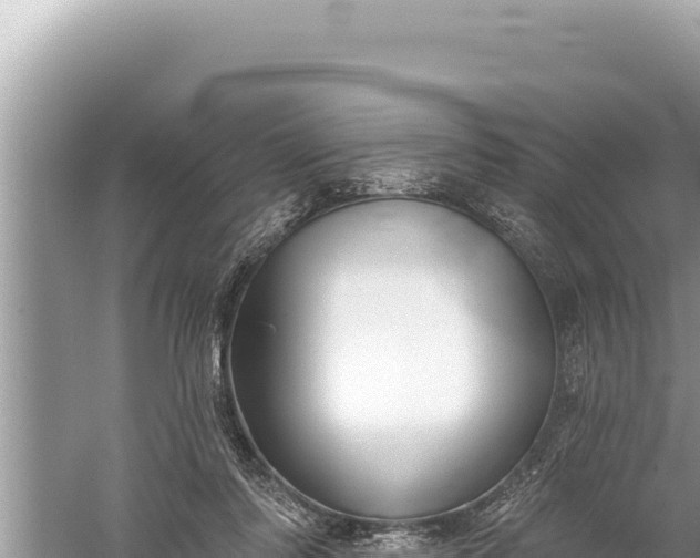 X0000059040310200510211941