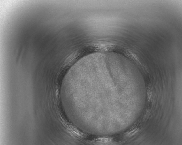 X0000059040314200510211941