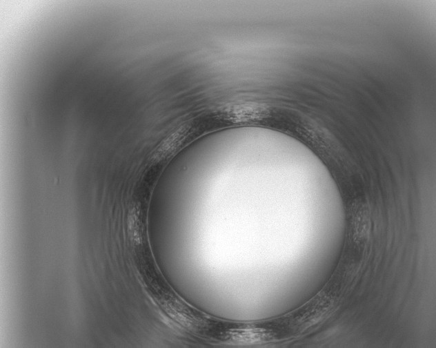 X0000059040316200510211941