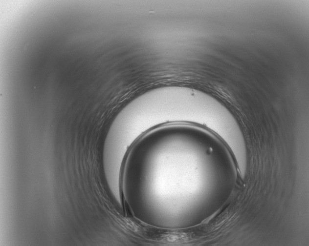 X0000059040317200510211941