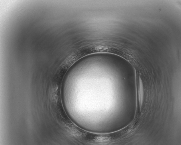 X0000059040319200510211941