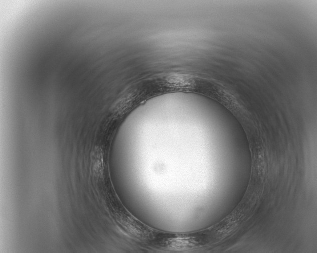 X0000059040320200510211941