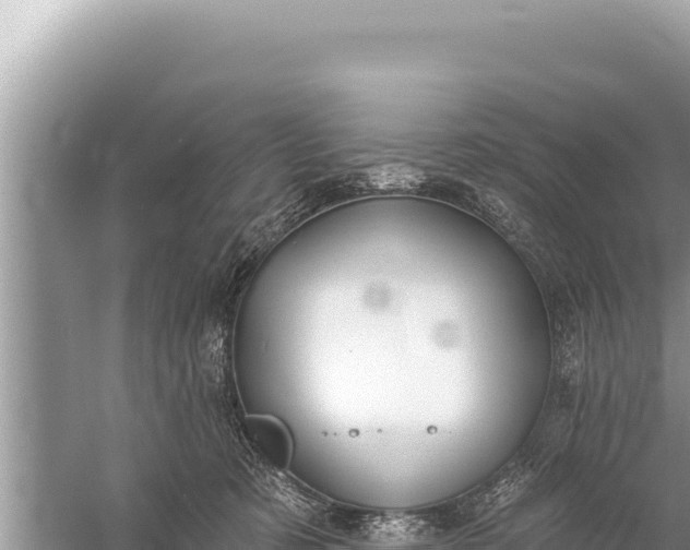 X0000059040321200510211941