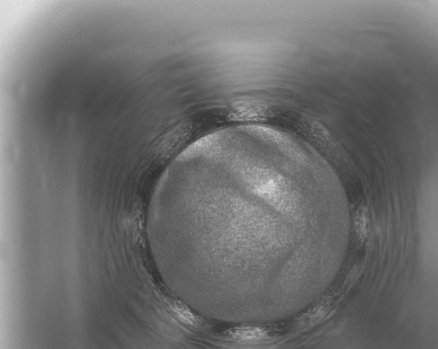 X0000059040322200510211940