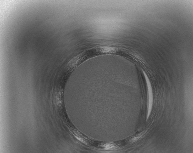 X0000059040325200510211940