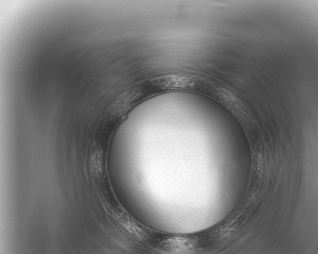 X0000059040326200510211940