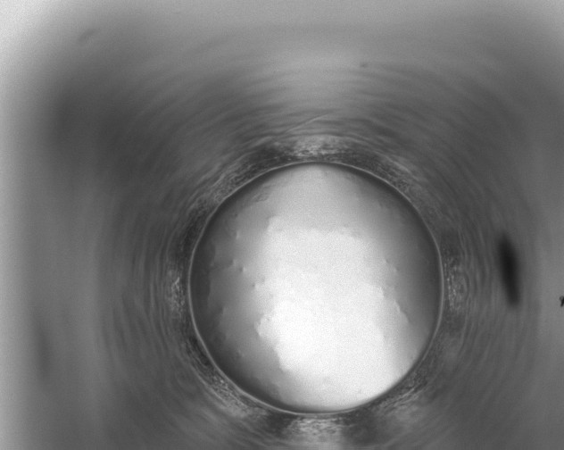 X0000059040327200510211940