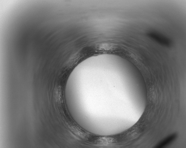 X0000059040328200510211940