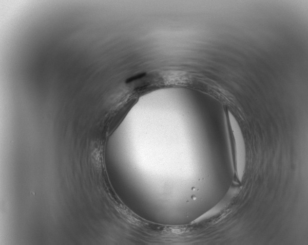 X0000059040329200510211940