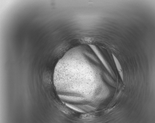 X0000059040331200510211940