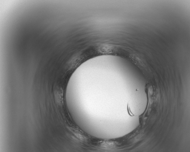 X0000059040332200510211940