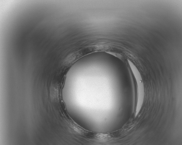 X0000059040333200510211940