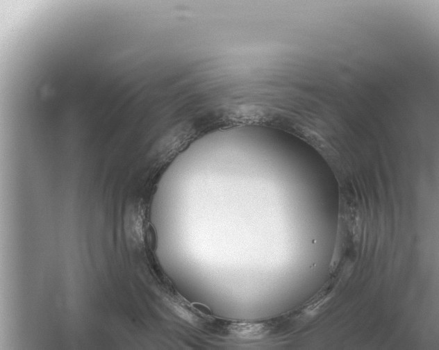 X0000059040334200510211940