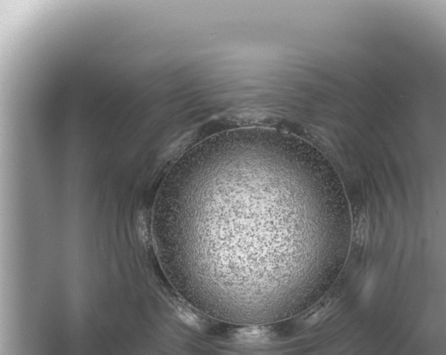 X0000059040335200510211940