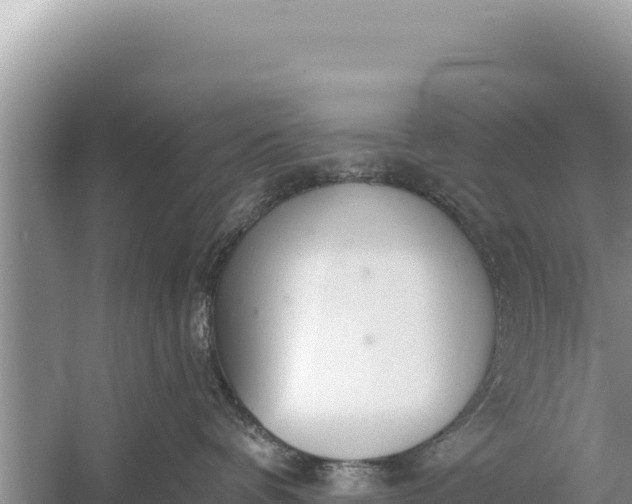 X0000059040336200510211940