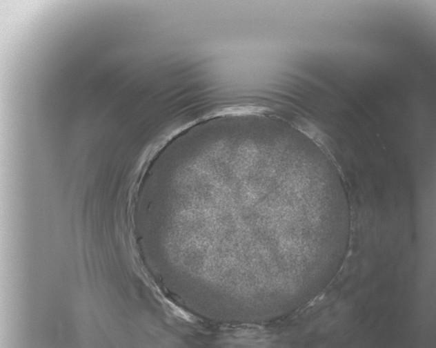 X0000059040337200510211939