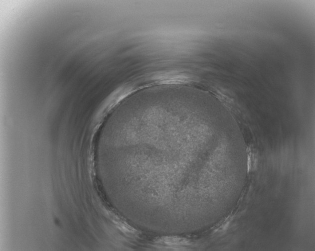 X0000059040339200510211939