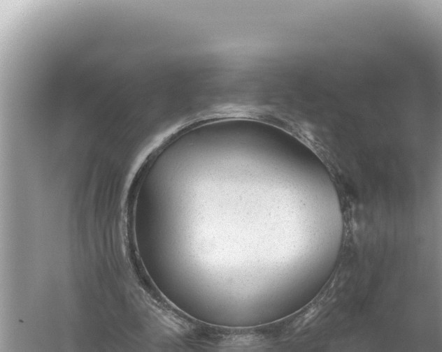 X0000059040342200510211940