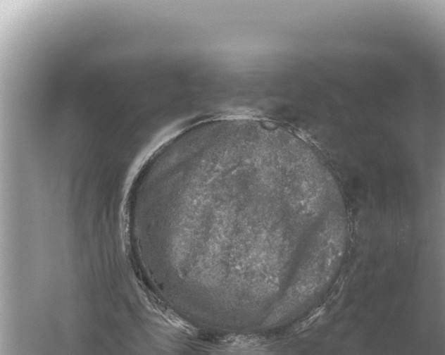 X0000059040343200510211940