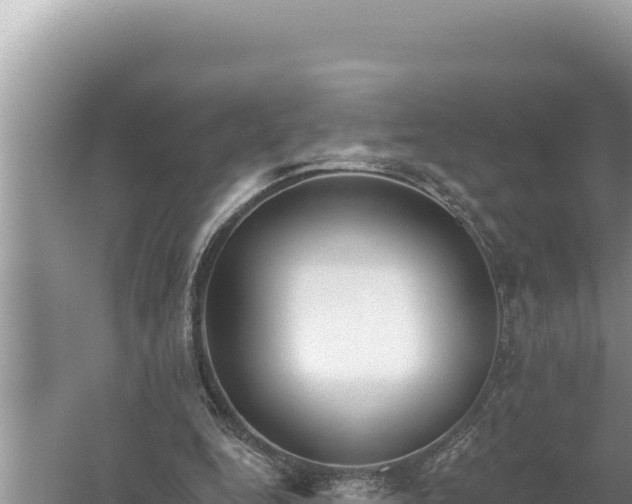 X0000059040344200510211940