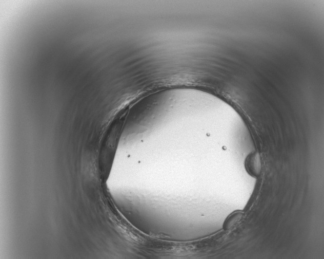 X0000059040345200510211940