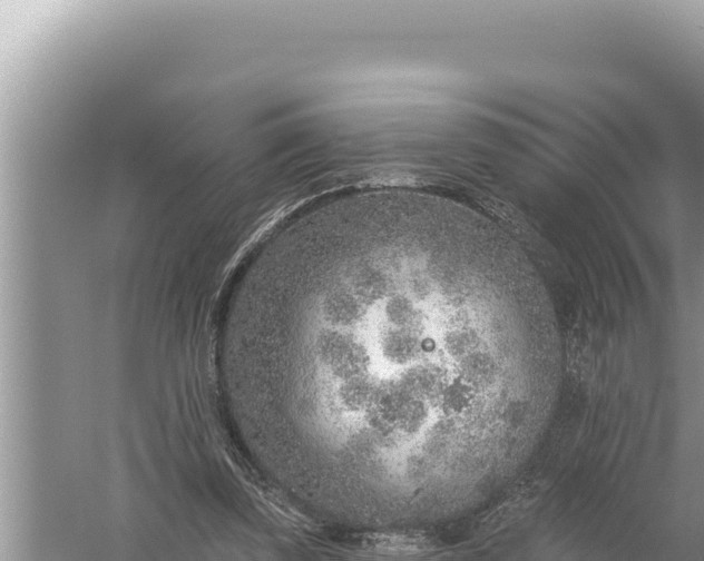 X0000059040347200510211940