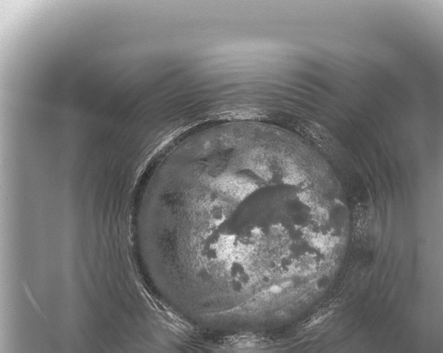 X0000059040351200510211940