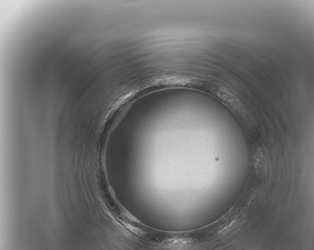 X0000059040352200510211940