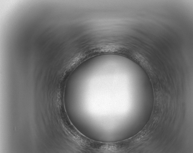 X0000059040354200510211940