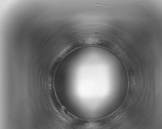 X0000059040356200510211940