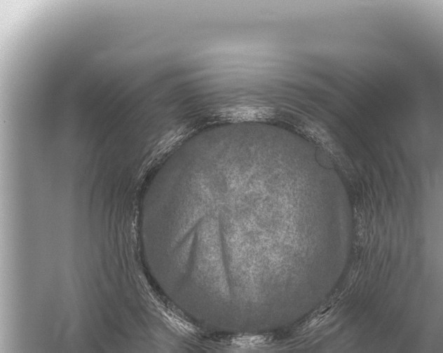 X0000059040357200510211940