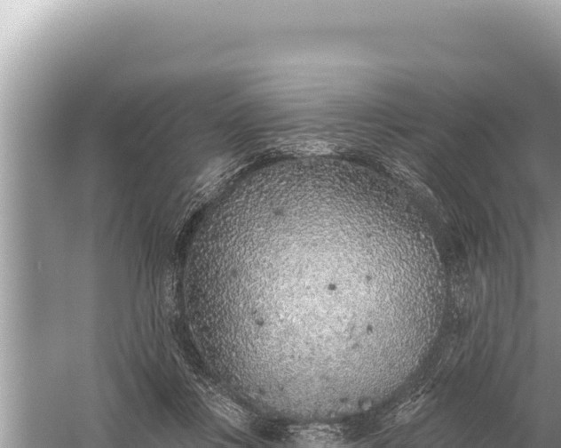 X0000059040359200510211940