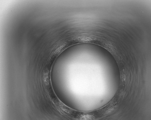 X0000059040360200510211940