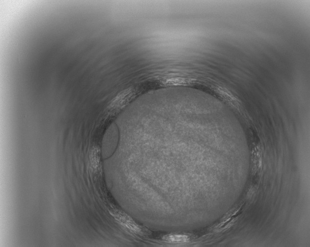 X0000059040361200510211940