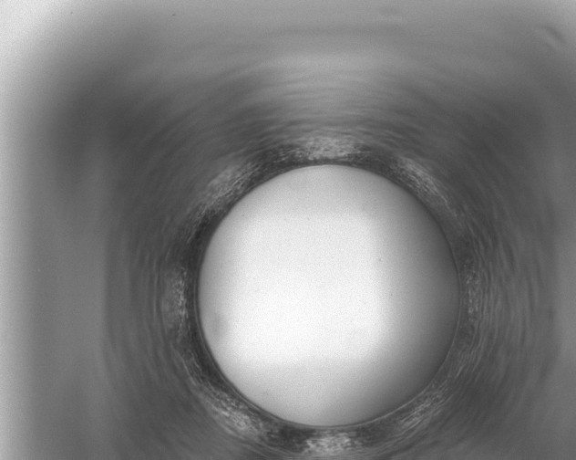 X0000059040362200510211940